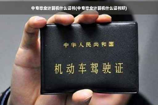 中专毕业计算机什么证书(中专毕业计算机什么证书好)