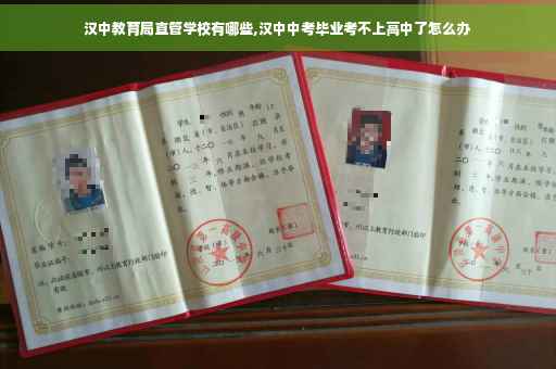 汉中教育局直管学校有哪些,汉中中考毕业考不上高中了怎么办