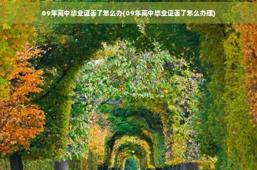 09年高中毕业证丢了怎么办(09年高中毕业证丢了怎么办理)