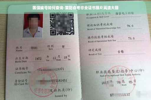 医保编号如何查询-莱阳自考毕业证书图片高清大图