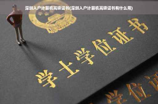 深圳入户计算机高级证书(深圳入户计算机高级证书有什么用)