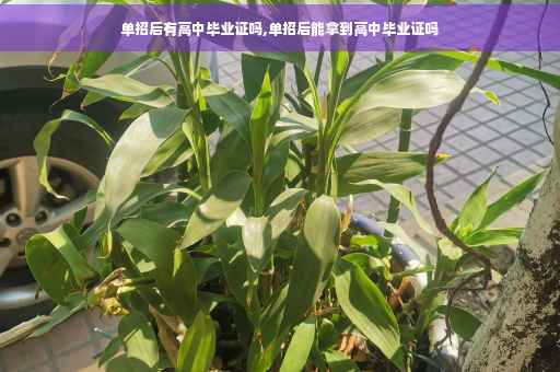 单招后有高中毕业证吗,单招后能拿到高中毕业证吗