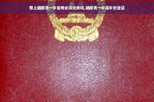 想上杨柳青一中会考必须优秀吗,杨柳青一中高中毕业证