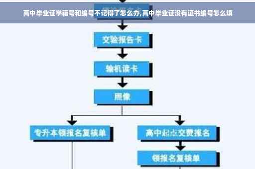 高中毕业证学籍号和编号不记得了怎么办,高中毕业证没有证书编号怎么填