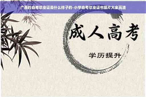 广西的自考毕业证是什么样子的-小学自考毕业证书图片大全高清