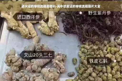 动火证的审批流程是哪科-高中毕业证的审核流程图片大全