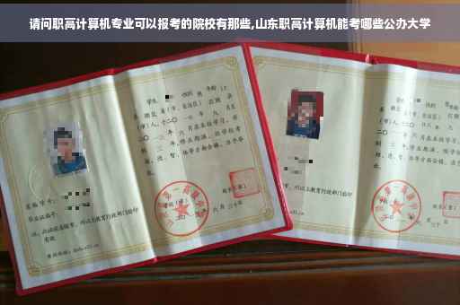 请问职高计算机专业可以报考的院校有那些,山东职高计算机能考哪些公办大学