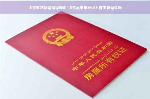 山东省学籍号编号规则-山东高中毕业证上有学籍号么吗