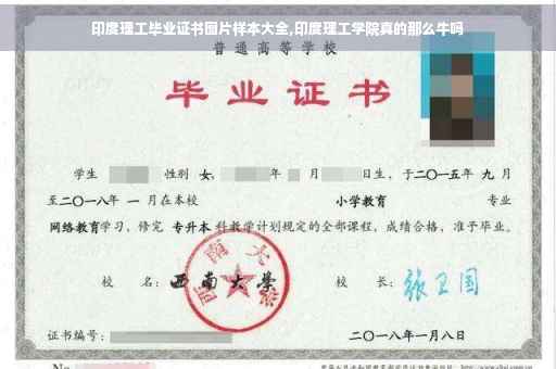 印度理工毕业证书图片样本大全,印度理工学院真的那么牛吗