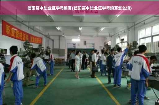 信阳高中毕业证学号填写(信阳高中毕业证学号填写怎么填)
