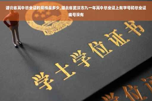 湖北省高中毕业证的规格是多少,湖北省武汉市九一年高中毕业证上有学号和毕业证编号没有