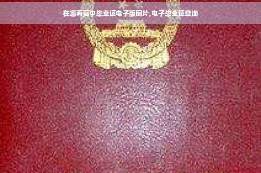在哪看高中毕业证电子版图片,电子毕业证查询