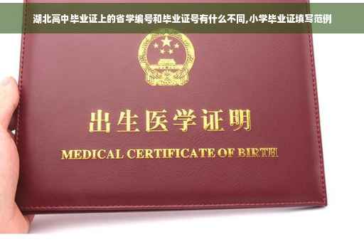 湖北高中毕业证上的省学编号和毕业证号有什么不同,小学毕业证填写范例