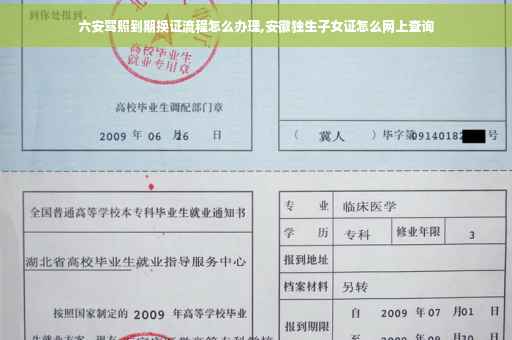 六安驾照到期换证流程怎么办理,安徽独生子女证怎么网上查询