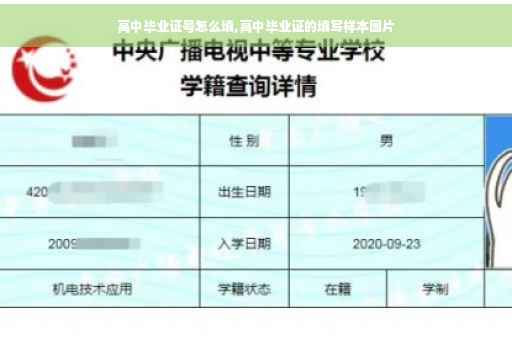 高中毕业证号怎么填,高中毕业证的填写样本图片