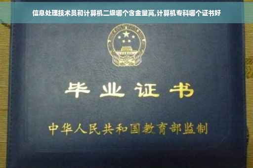 信息处理技术员和计算机二级哪个含金量高,计算机专科哪个证书好