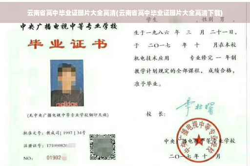 云南省高中毕业证图片大全高清(云南省高中毕业证图片大全高清下载)