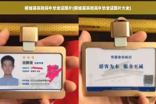 柳城县实验高中毕业证图片(柳城县实验高中毕业证图片大全)