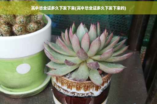 高中毕业证多久下发下来(高中毕业证多久下发下来的)