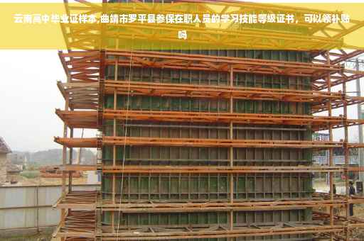 云南高中毕业证样本,曲靖市罗平县参保在职人员的学习技能等级证书，可以领补贴吗