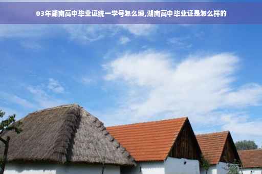 03年湖南高中毕业证统一学号怎么填,湖南高中毕业证是怎么样的