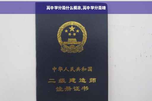 高中学分是什么概念,高中学分是啥