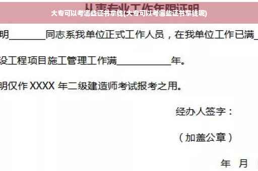 大专可以考哪些证书拿钱(大专可以考哪些证书拿钱呢)