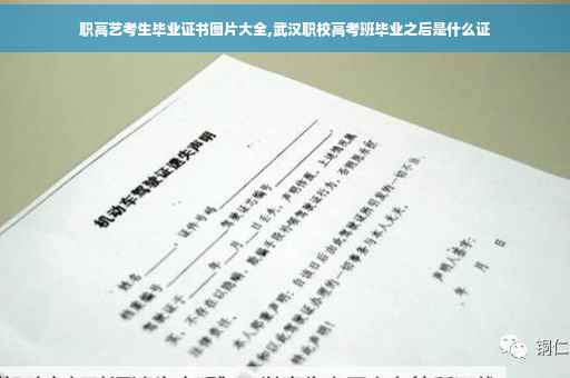 职高艺考生毕业证书图片大全,武汉职校高考班毕业之后是什么证