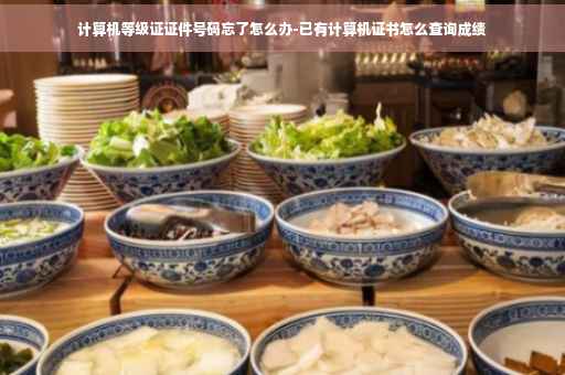 计算机等级证证件号码忘了怎么办-已有计算机证书怎么查询成绩