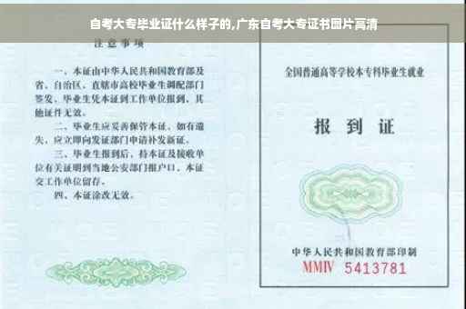 自考大专毕业证什么样子的,广东自考大专证书图片高清