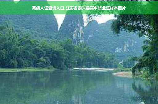 残疾人证查询入口,江苏省泰兴县高中毕业证样本图片