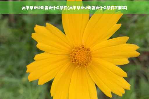 高中毕业证都需要什么条件(高中毕业证都需要什么条件才能拿)