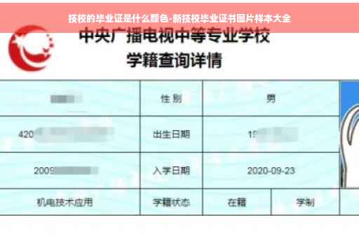 技校的毕业证是什么颜色-新技校毕业证书图片样本大全