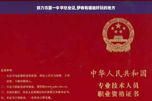铁力市第一中学毕业证,伊春有哪些好玩的地方