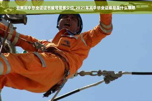 云南高中毕业证证书编号是多少位,2021年高中毕业证编号是什么意思
