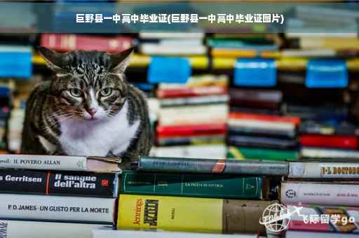 巨野县一中高中毕业证(巨野县一中高中毕业证图片)