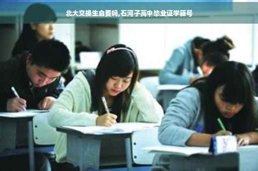 北大交换生自费吗,石河子高中毕业证学籍号