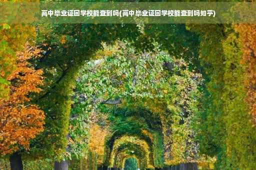 高中毕业证回学校能查到吗(高中毕业证回学校能查到吗知乎)