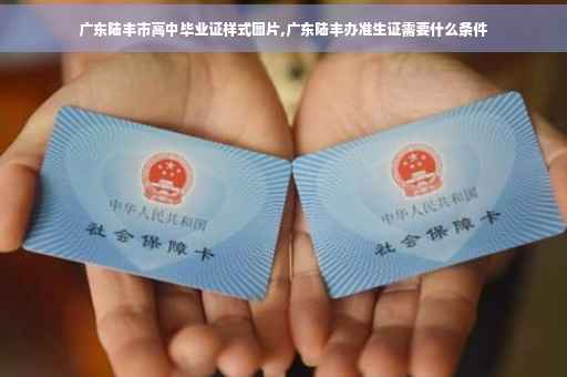 广东陆丰市高中毕业证样式图片,广东陆丰办准生证需要什么条件