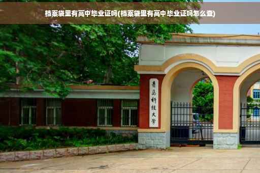 档案袋里有高中毕业证吗(档案袋里有高中毕业证吗怎么查)