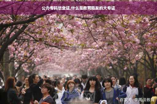 公办专科毕业证,什么是教育局发的大专证