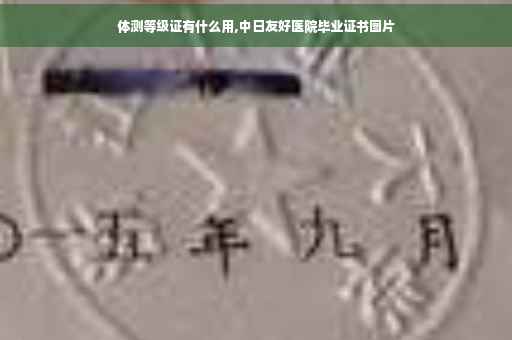 体测等级证有什么用,中日友好医院毕业证书图片