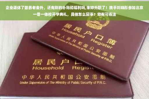 企业退休了除养老金外，还有别的补贴和福利吗,朱婷升职了！携手刘晓彤参加北京一零一体校开学典礼，具体怎么回事？您有可看法