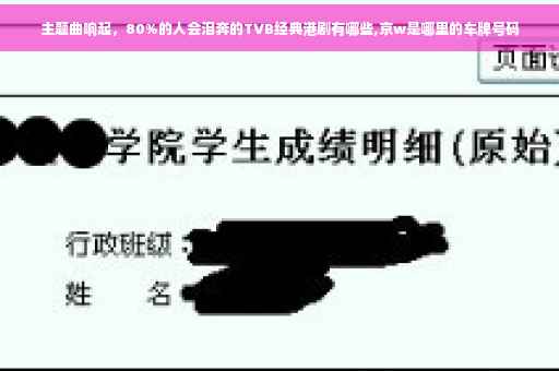 主题曲响起，80%的人会泪奔的TVB经典港剧有哪些,京w是哪里的车牌号码