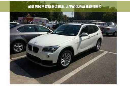 成都锦城学院毕业证样本,大学的优秀毕业证书图片