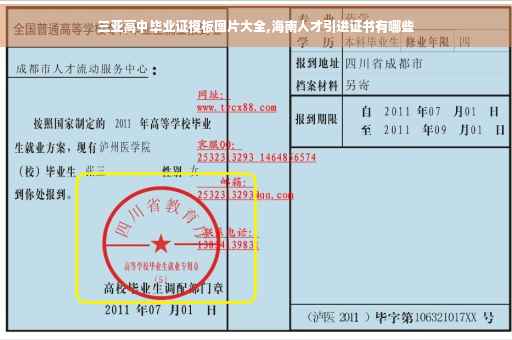 三亚高中毕业证模板图片大全,海南人才引进证书有哪些