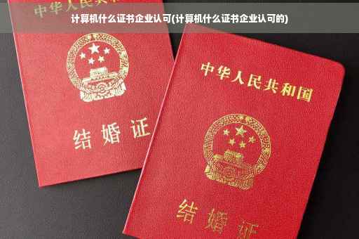 计算机什么证书企业认可(计算机什么证书企业认可的)