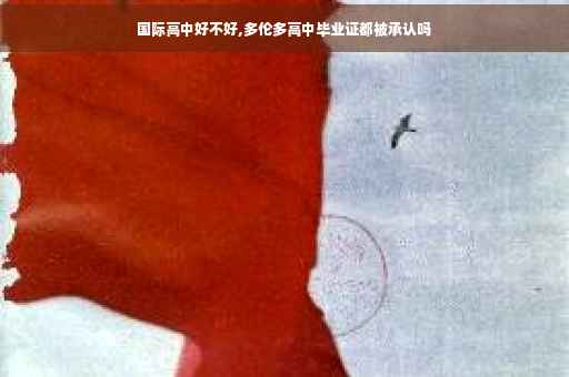 国际高中好不好,多伦多高中毕业证都被承认吗