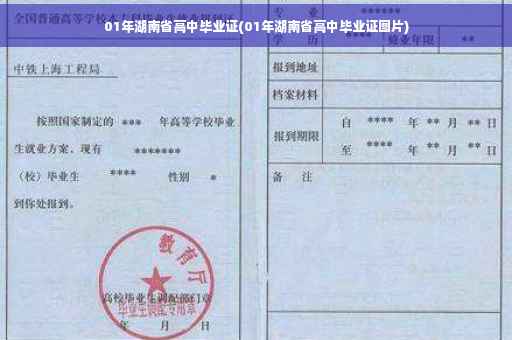 01年湖南省高中毕业证(01年湖南省高中毕业证图片)