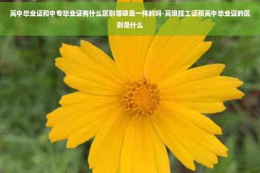高中毕业证和中专毕业证有什么区别等级是一样的吗-高级技工证和高中毕业证的区别是什么